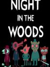 Night In The Woods