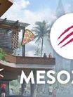 Mesozoica