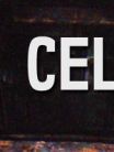 The Cellar