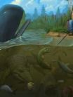 Fishing: World of Fishers