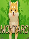 Montaro