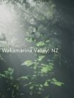 Wakamarina Valley, New Zealand