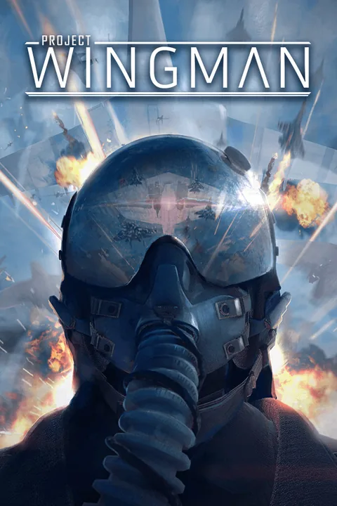 Download full game Project Wingman via torrent on PC